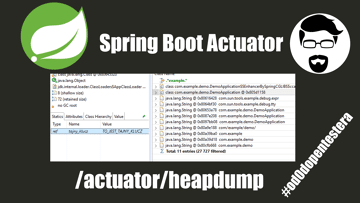 Java Sprint Boot Actuator